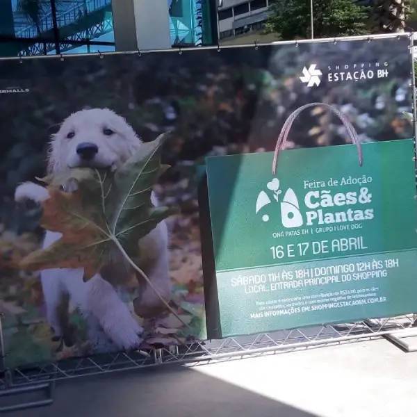 Painel instagramável em Belo Horizonte da Profix Comunicação Visual