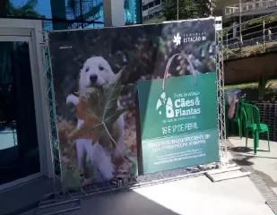 Painel Instagramável Painel Instagramável